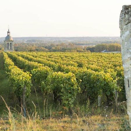 Апартаменти Studio Au Coeur Des Vignes Монлуї-сюр-Луар Екстер'єр фото