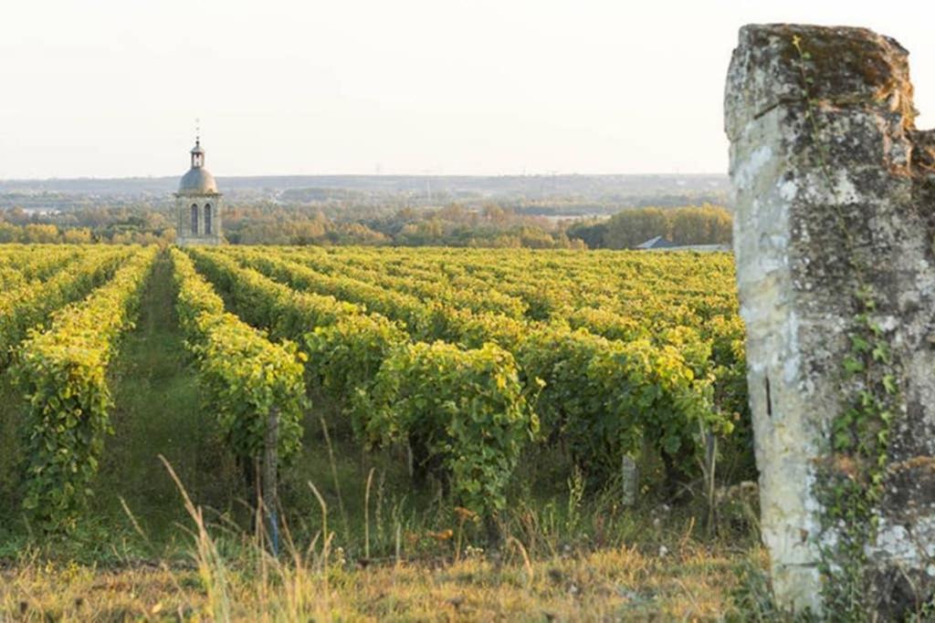 Апартаменти Studio Au Coeur Des Vignes Монлуї-сюр-Луар Екстер'єр фото