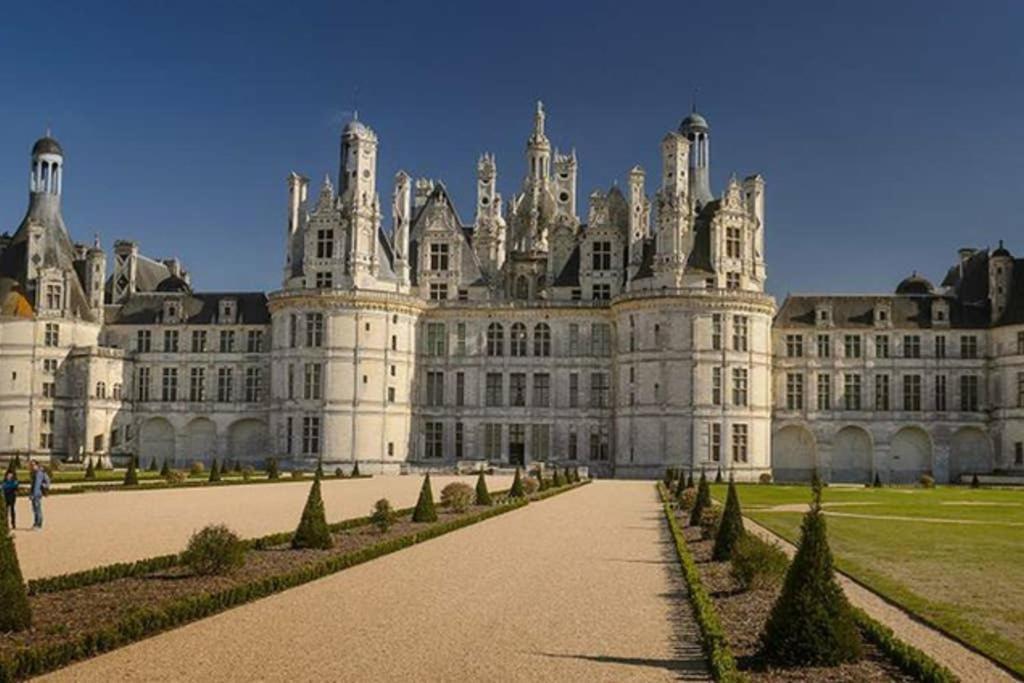 Апартаменти Studio Au Coeur Des Vignes Монлуї-сюр-Луар Екстер'єр фото